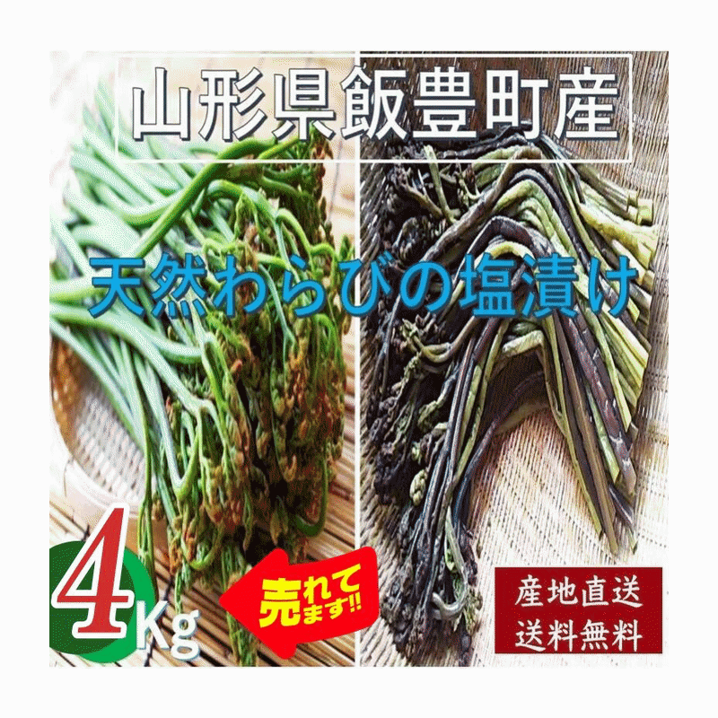 山形産生ワラビ１０kg 山形産生ワラビ10kg