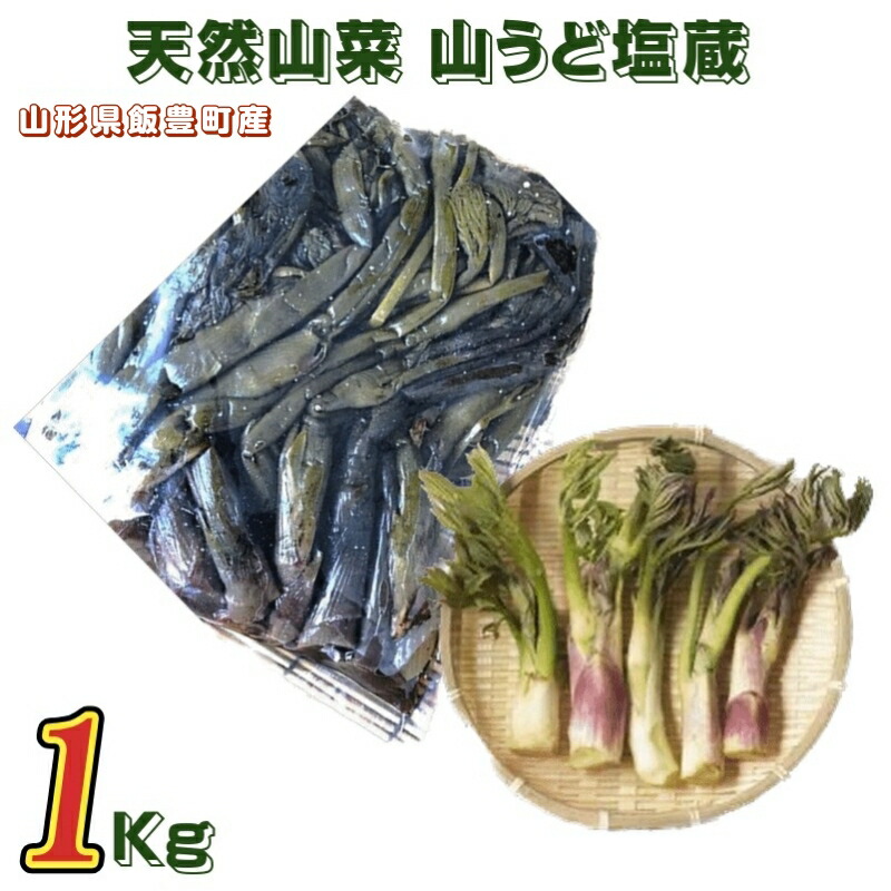 楽天市場】国産 天然 山菜 塩漬け（塩蔵） 山うど 1kgその日の 採れた