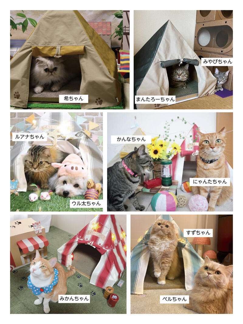 猫のテント Rugtasu 50 50cm 洗える 10枚入り 洗濯機ok タイルラグ 滑り止め タイルカーペット ラグタス 猫のテント Rugtasu 50 50cm 洗える 10枚入り 洗濯機ok タイルラグ 滑り止め タイルカーペット ラグタス
