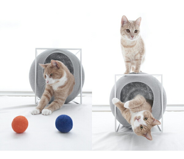 Meyou The Cube にゃんにゃん 猫料 トランペット 学生寄宿舎 ベッド ベット ペット ねんねこ ねこ 猫ベッド 猫用ベッド 格好よい オシャレ 居宅 ペットハウス おしゃれベッド 引っ掛かり 室内 ドームベッド モダン Marchesoni Com Br