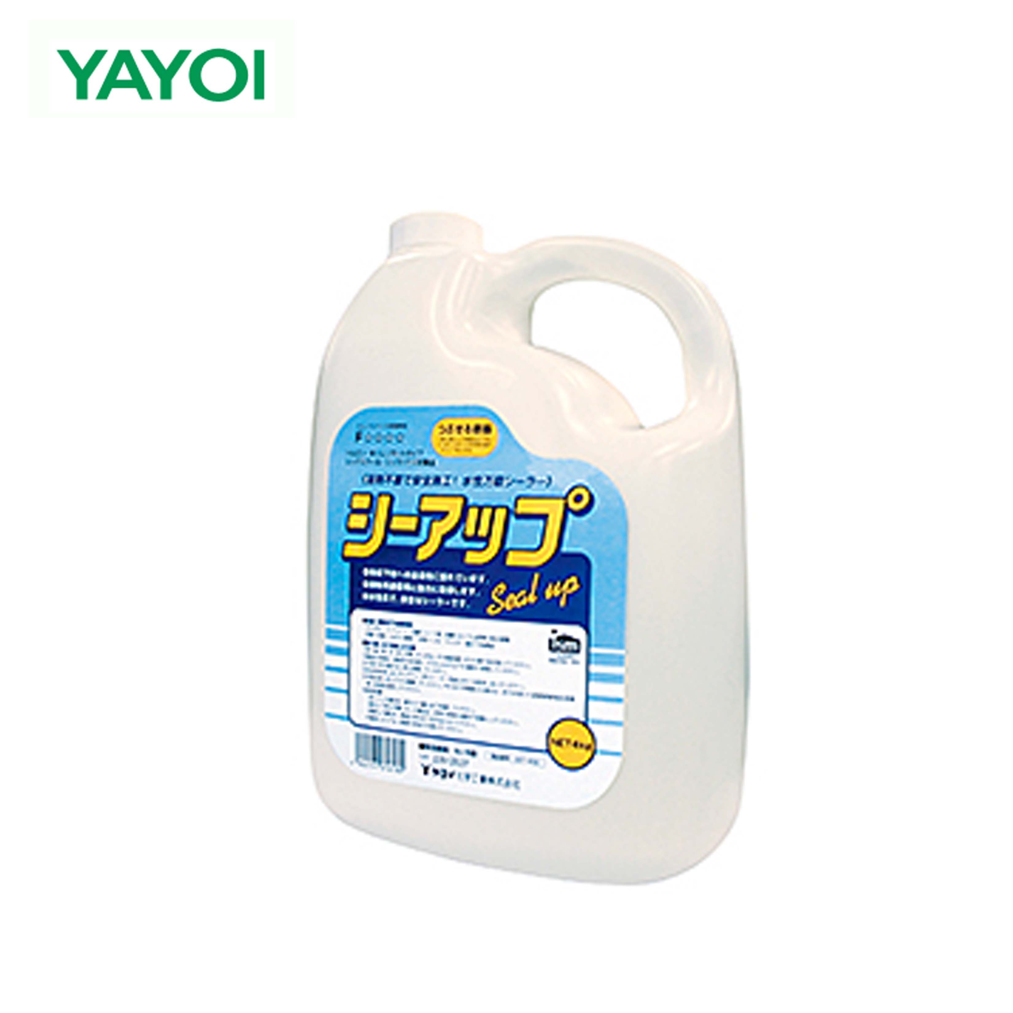 kkjd シーアップ imgrc0105241580.jpg