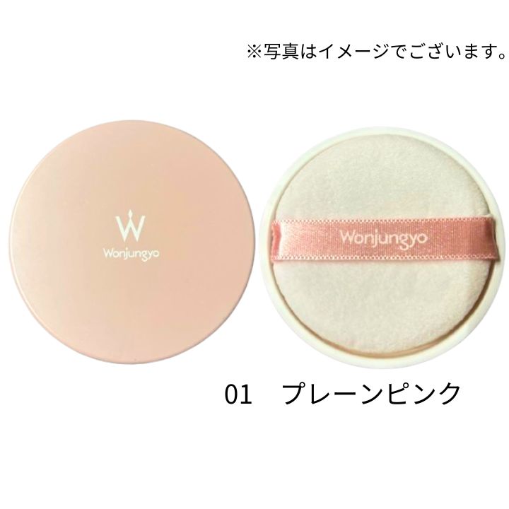 プレーンピンク　ウォンジョンヨ フィクシングブラーパウダー　3点セット Wonjungyo ウォンジョンヨ フィクシングブラーパウダー N 13g 01