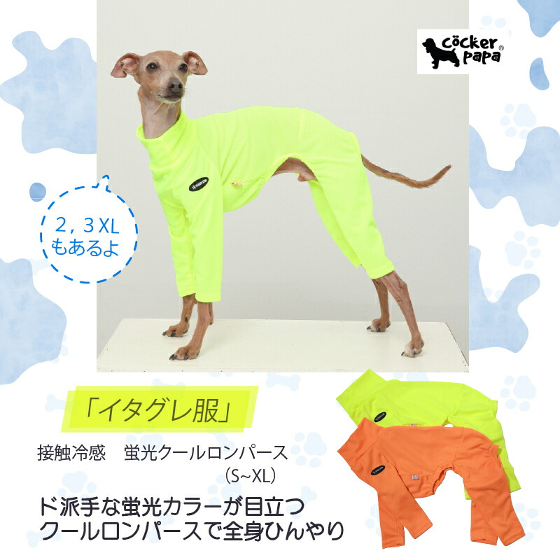 楽天市場】【送料無料】イタグレ 服 メッシュロンパース ネオン