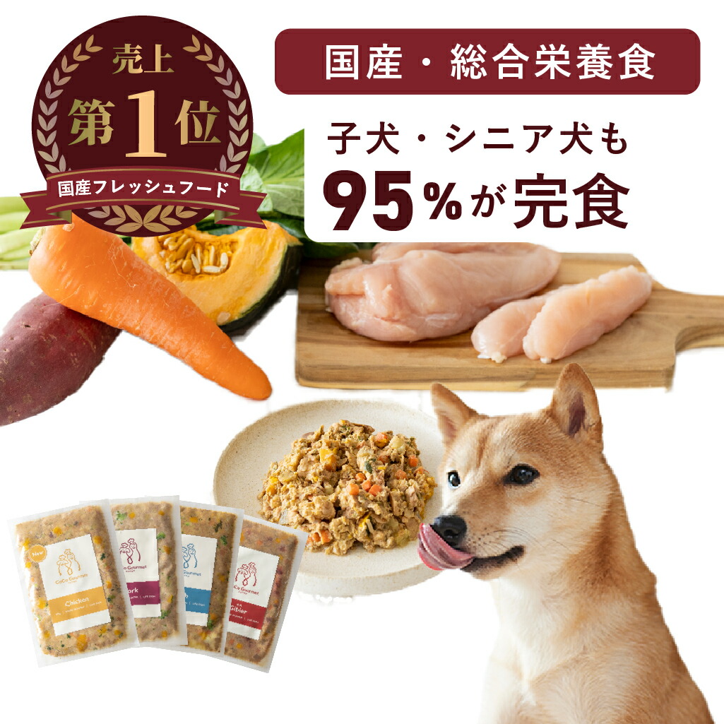 楽天市場】【定期購入10%OFF】ココグルメ(100g×16) 手作り