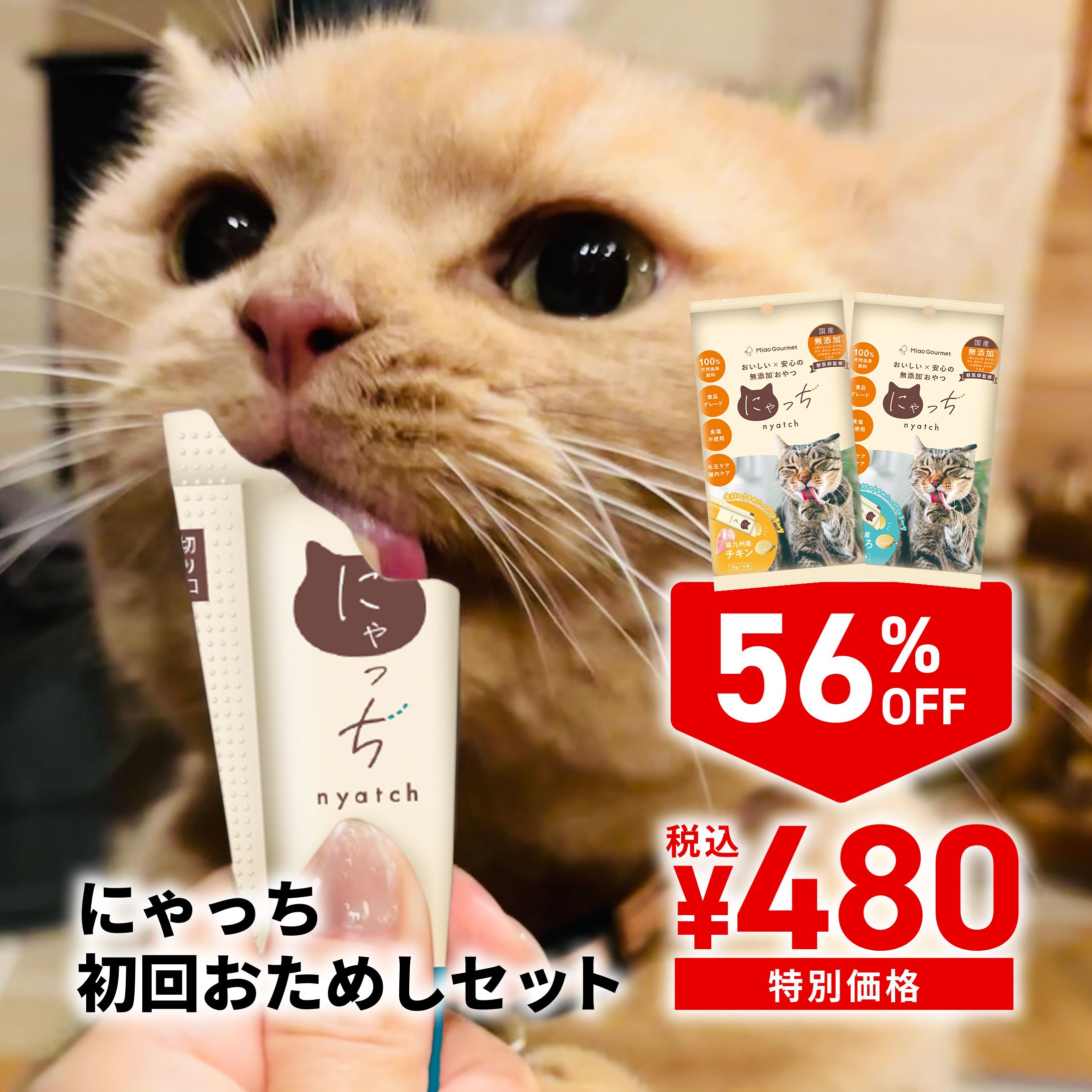 ✵早い者勝ち✵neco-ri ねこり 猫 腎臓 膀胱 おやつ 無添加 国産 4箱 楽天市場】necori ねこり 10g×10包 猫 おやつ 腎臓病 増粘剤不