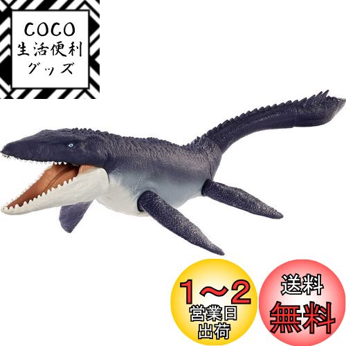 b0b5flm52y00.jpg