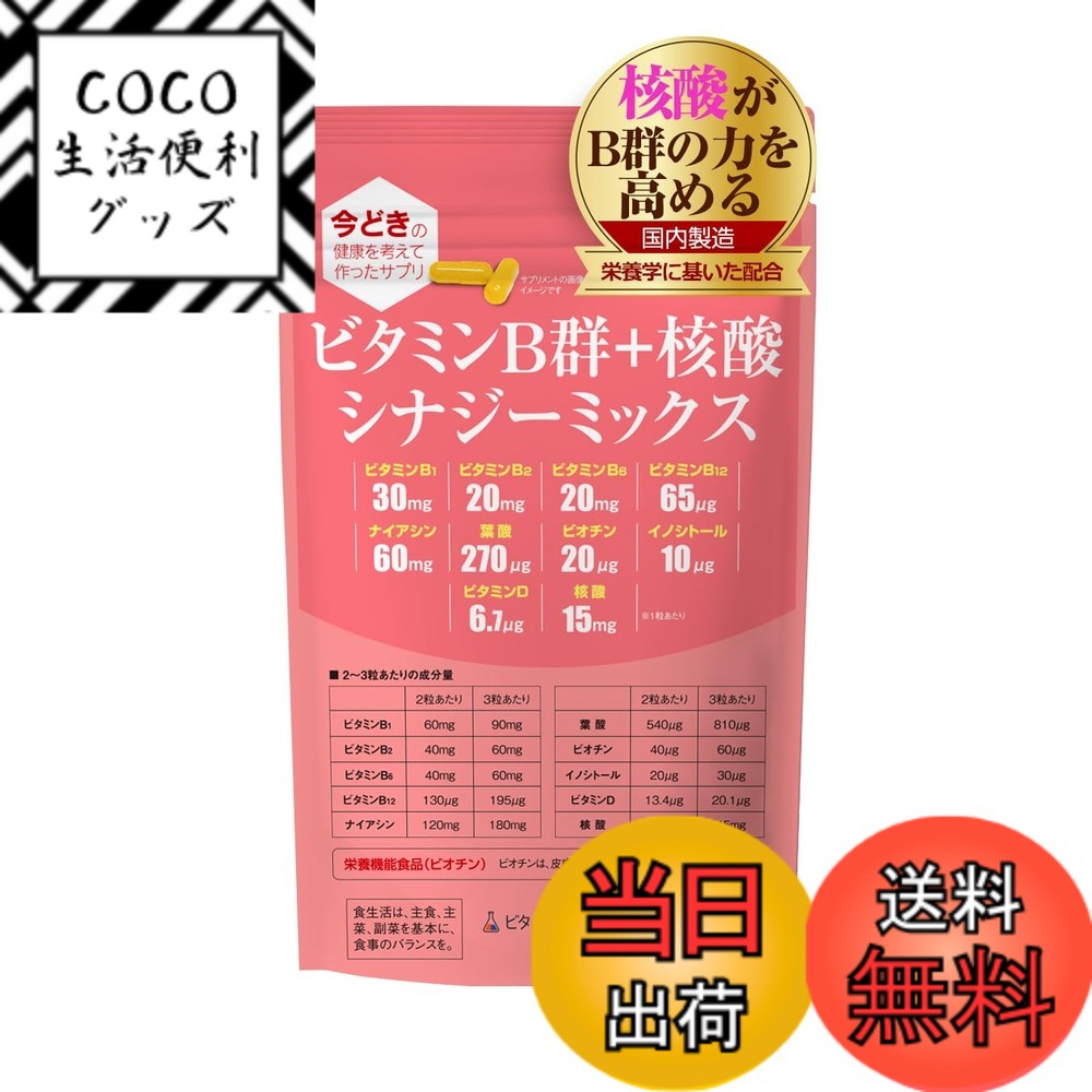 【送料無料】ビタミンB群+核酸 シナジーミックス サイズ:1袋