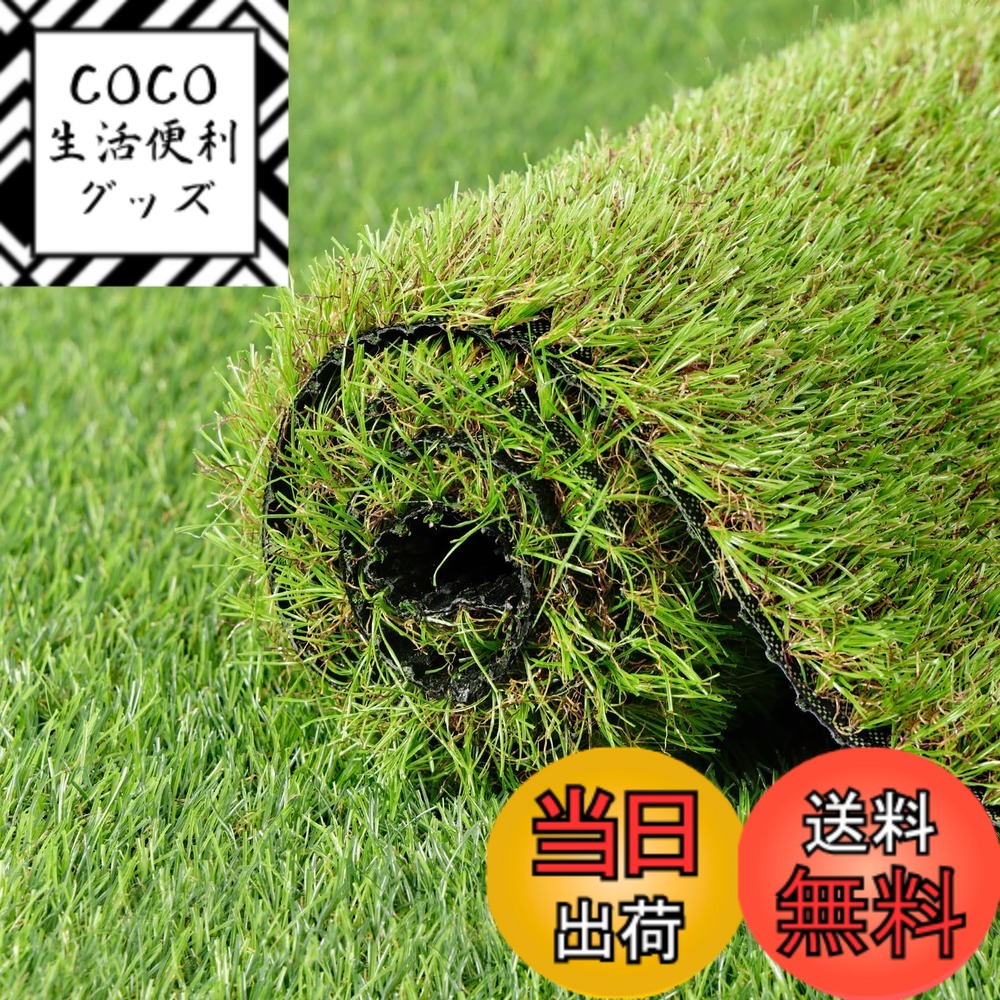 【送料無料】人工芝 ロール 1mx10m リアル感 芝丈38mm 高耐久 透水タイプ 防草シート 24本ピン付き 冬色 色：冬色、サイズ：1x5m