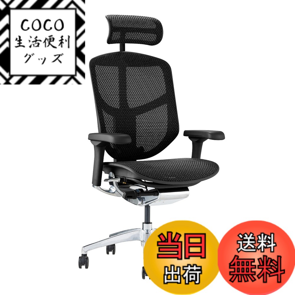 【送料無料】エルゴヒューマン2(ergohuman2) オフィスチェア ENJOY エンジョイ 色：メッシュ:ブラック / フレーム:ブラック、サイズ：ハイタイプ