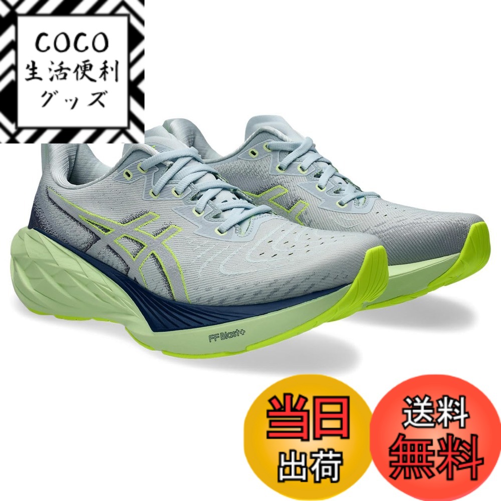 【送料無料】asics(アシックス) メンズ NOVABLAST 4ランニングシューズ 色：022(クール グレー/ブルー エクスパンス)、サイズ：29.0 cm 2E