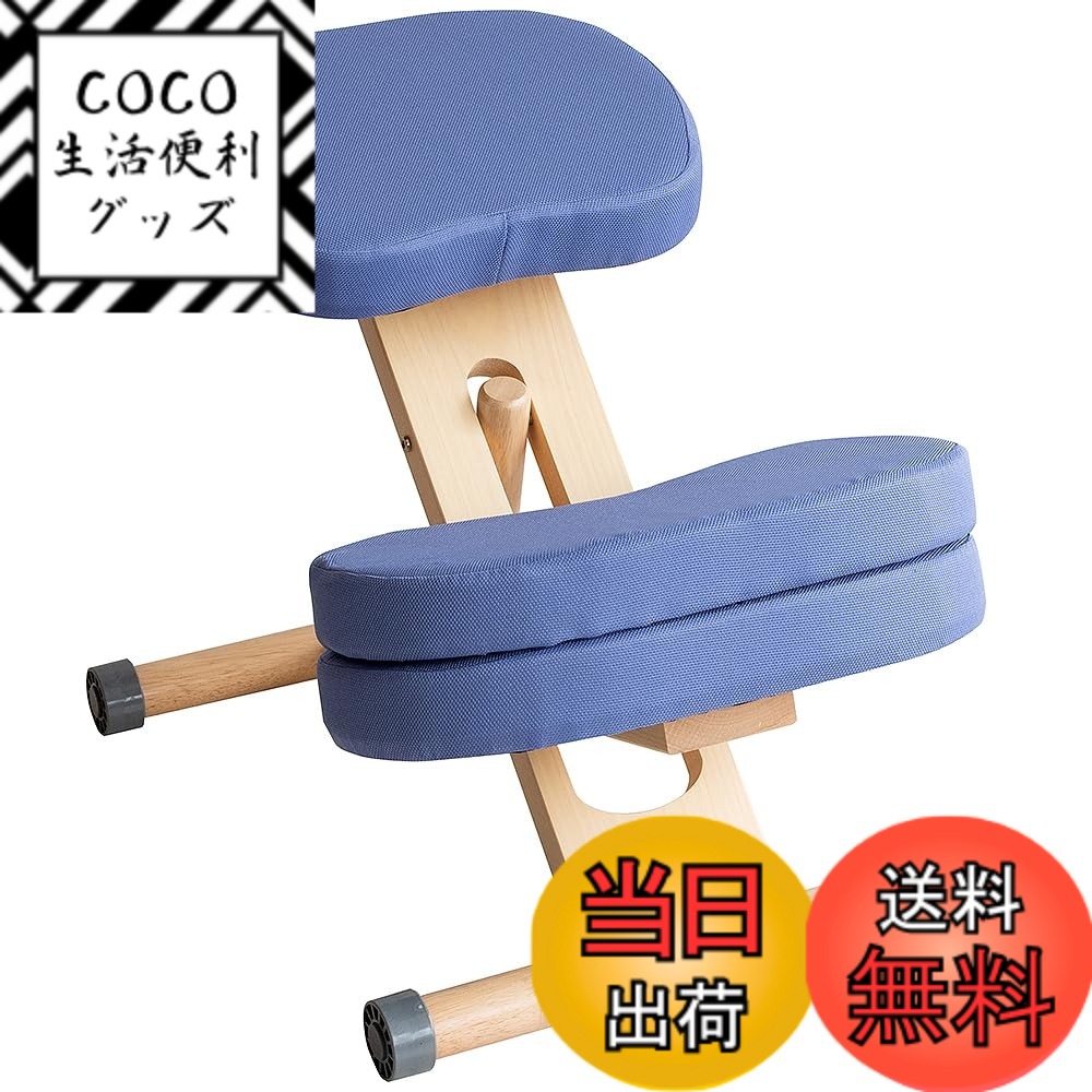 【送料無料】プロポーションチェア 集中力が高まる椅子 姿勢サポート 補助クッション付 色：ヴァイオレット、サイズ：CH-N889CK