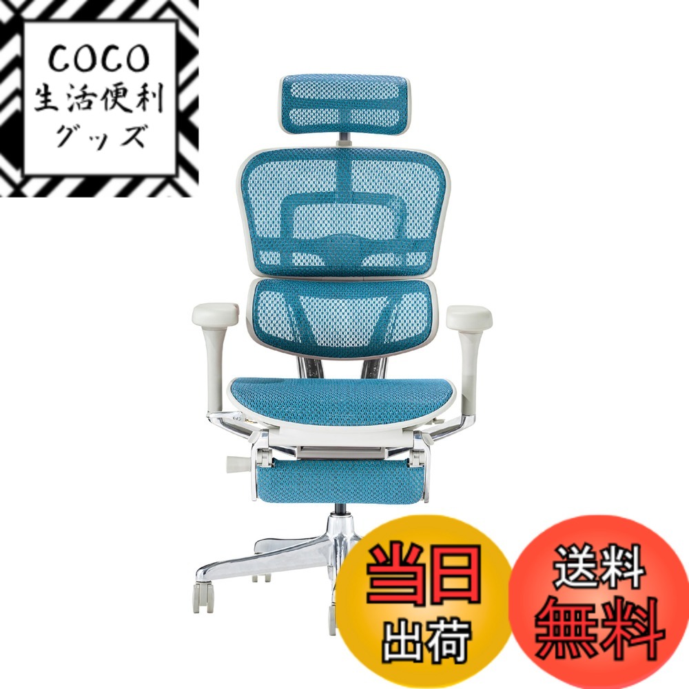 【送料無料】エルゴヒューマン2(Ergohuman2) オフィスチェア 色：フレーム:GRAY / メッシュ:BLUE、サイズ：ハイタイプ・オットマン内臓
