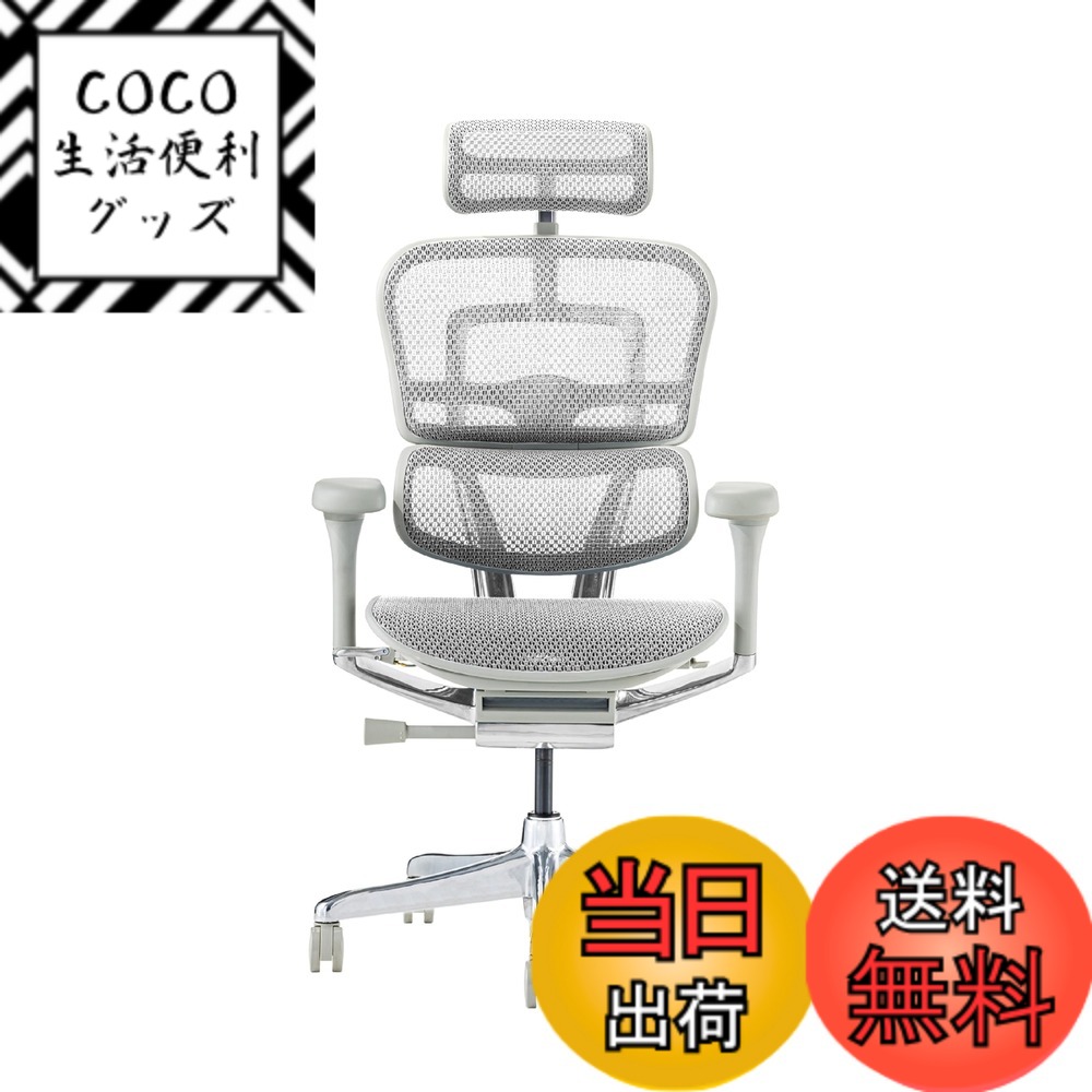 【送料無料】エルゴヒューマン2(Ergohuman2) オフィスチェア 色：フレーム:GRAY/ メッシュ:WHITE、サイズ：ハイタイプ
