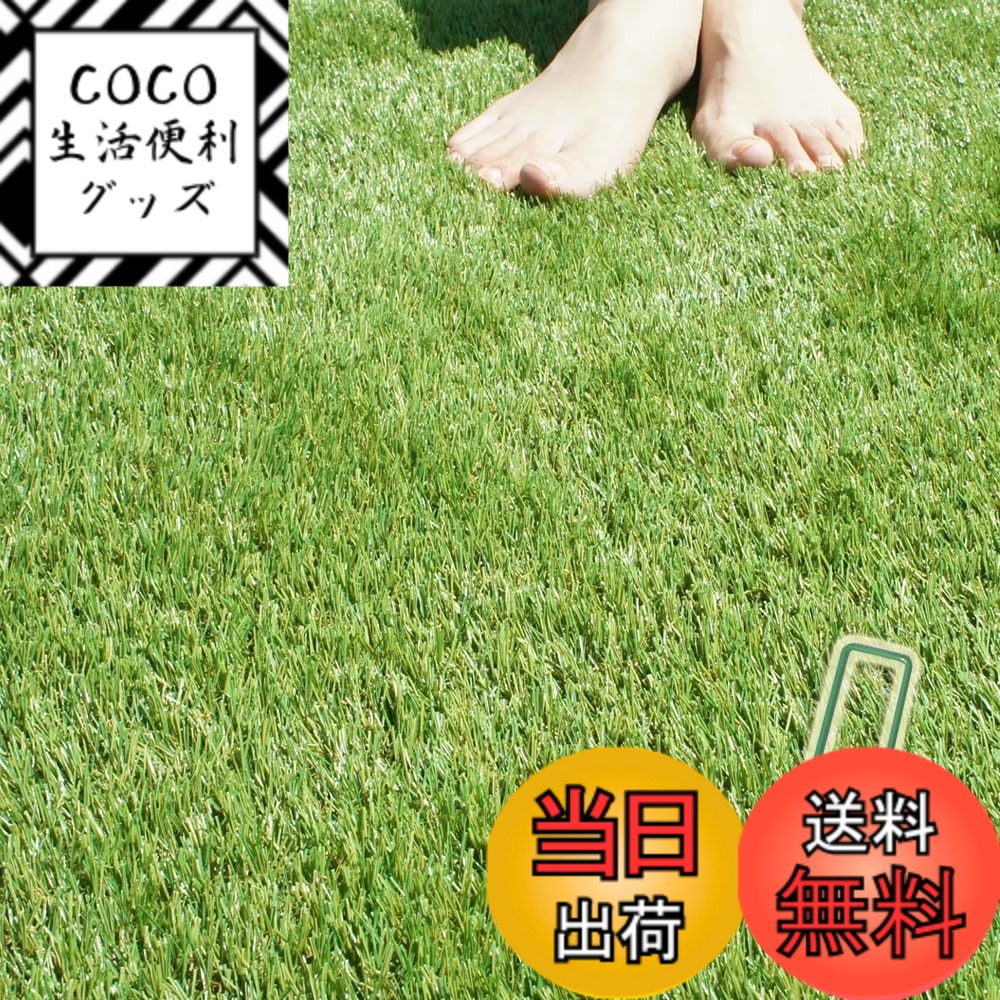 【送料無料】人工芝 ロール 固定専用 ピン （ GAターフピン ）付 ターフグランデ 分厚い4層バッキング 広げてもシワができない極ふわ人工芝 色：秋冬グリーン（プレミアム35mm）、サイズ：1mx10m　ピン付