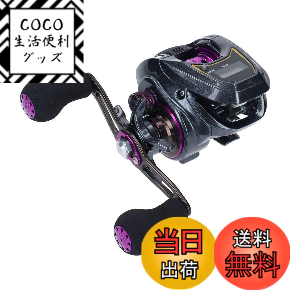 【送料無料】ダイワ(DAIWA) LIGHT SW X IC R カウンター付ベイトリール