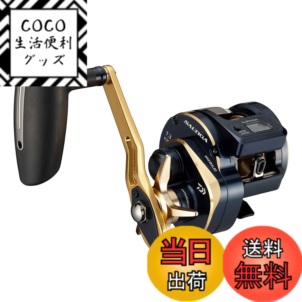 【送料無料】ダイワ(DAIWA) 21 ソルティガIC 300H-SJ 48,984円