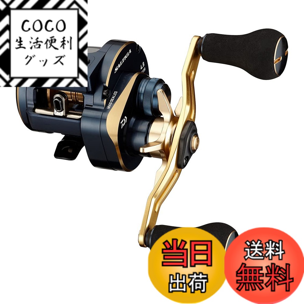 【送料無料】ダイワ(DAIWA) 21 ソルティガIC 100PL-DH