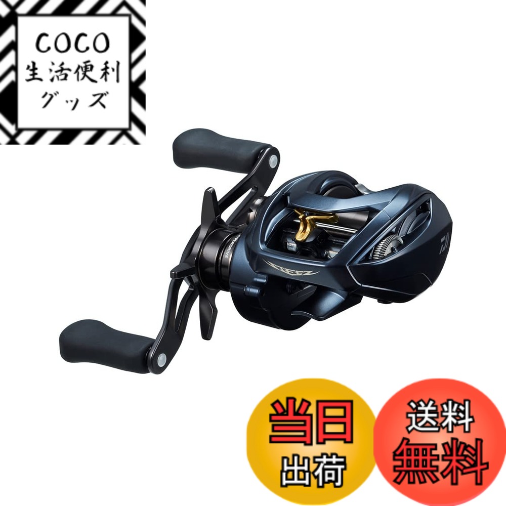 【送料無料】ダイワ(DAIWA) ベイトリール STEEZ(スティーズ) AII TW 1000H 2022年モデル