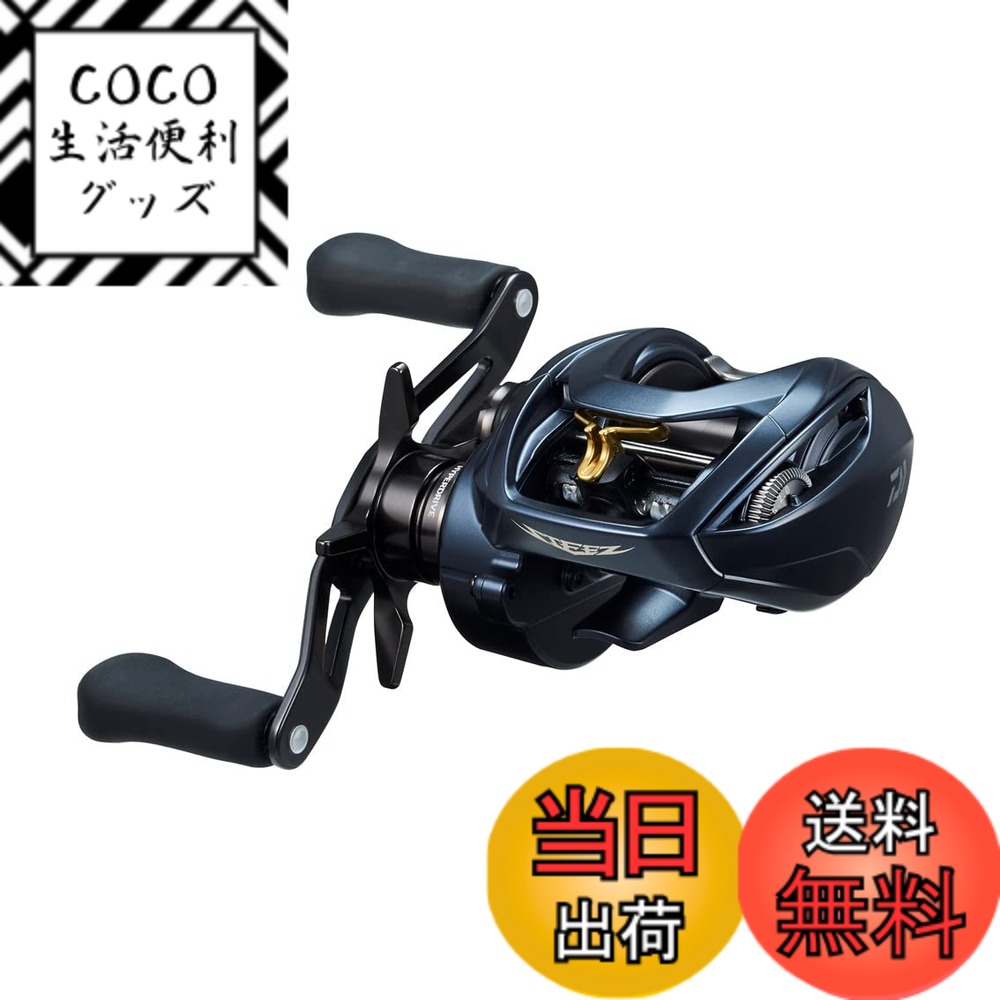 【送料無料】ダイワ(DAIWA) ベイトリール STEEZ(スティーズ) AII TW 1000XH 2022年モデル