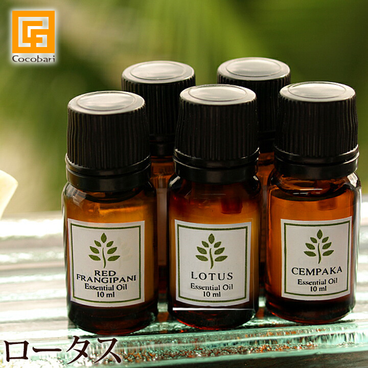 新品 AYANA resort spa BALI オリジナル フランジパニ 香水 e0004.jpg