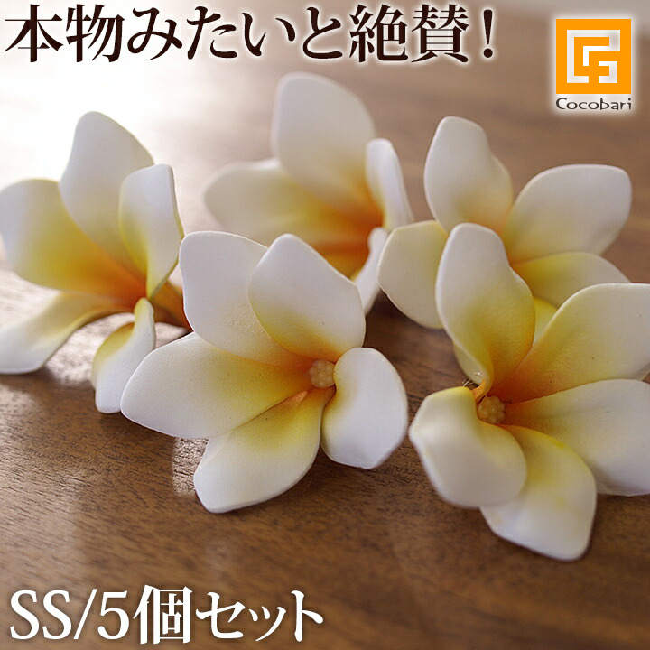 クリックで詳細を表示