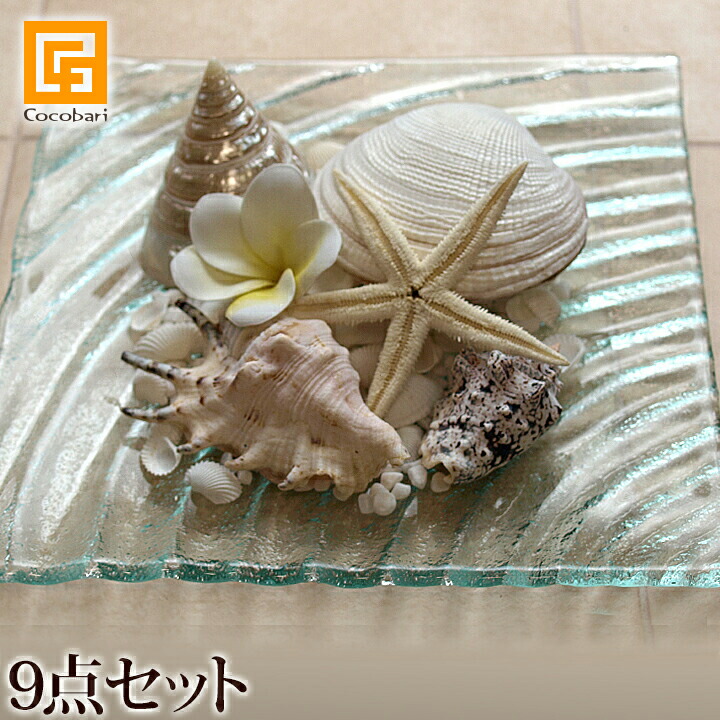 楽天市場】貝殻と白い砂のセット(M) 【 インテリア オブジェ マリン 海