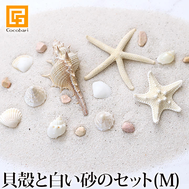 ハワイアンインテリア　海の置き物　雑貨　夏　南国　珊瑚 objet-coral-m-et_01.jpg