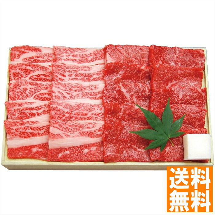 送料無料 千成亭  近江牛焼肉（モモ・カルビ） SNT-523  全国送料無料 御中元ギフト 早割 お中元2025 御見舞 お見舞い お取り寄せ グルメスイーツ