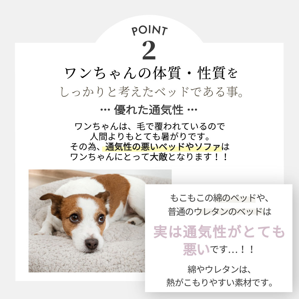 楽天市場 母の日 獣医師監修 小型犬専用ベッド Dreamy One Mサイズ 犬 ペット ベッド ペットベッド 犬用ベッド 小型犬 小型犬ベッド おしゃれ 高級 犬 ダメ に する ベッド トイプードル トイプードルベッド グッズ Mサイズ オールシーズン セレブ Ss ギフト 早