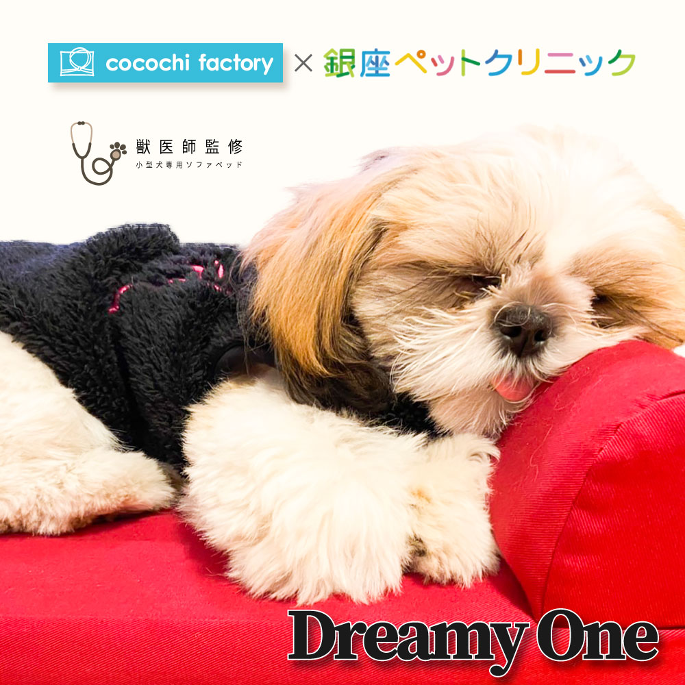 楽天市場】獣医師監修 小型犬専用ベッド 【Dreamy One】 Sサイズ 犬