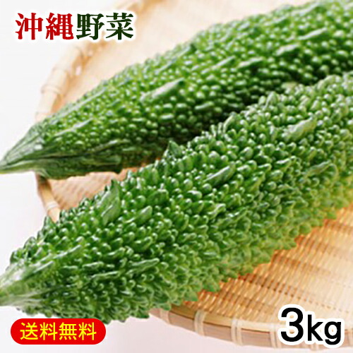 楽天市場 沖縄産 ゴーヤー 3kg 送料無料 ゴーヤ にがうり 沖縄野菜 生 沖縄通販 ここち琉球