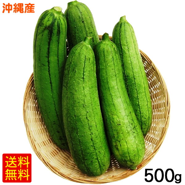 楽天市場 沖縄産へちま ナーベーラー 500g 沖縄野菜 食用ヘチマ 沖縄通販 ここち琉球