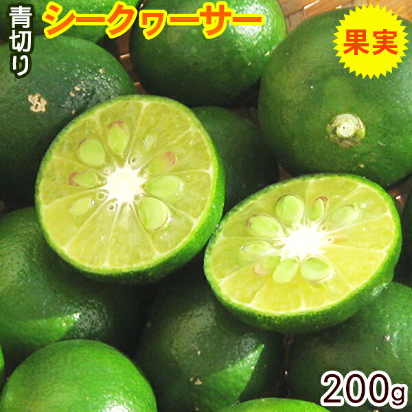 【楽天市場】沖縄産シークワーサー果実(青切り)約200g /シークヮーサーの実 ノビレチン ヒラミレモン:沖縄お土産通販 ここち琉球