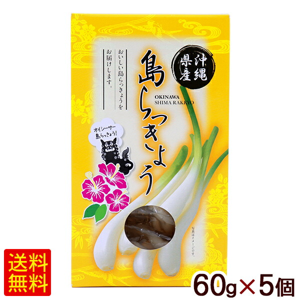 島らっきょう 酢漬け 60g 5個 送料無料 沖縄産 Sgf Mgpadel Com