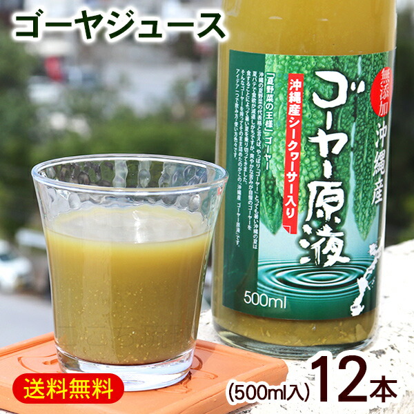 ゴーヤー原液 シークワーサー果汁入り 500ml×12本　/沖縄産 ゴーヤ ジュース 野菜ジュース【FS】