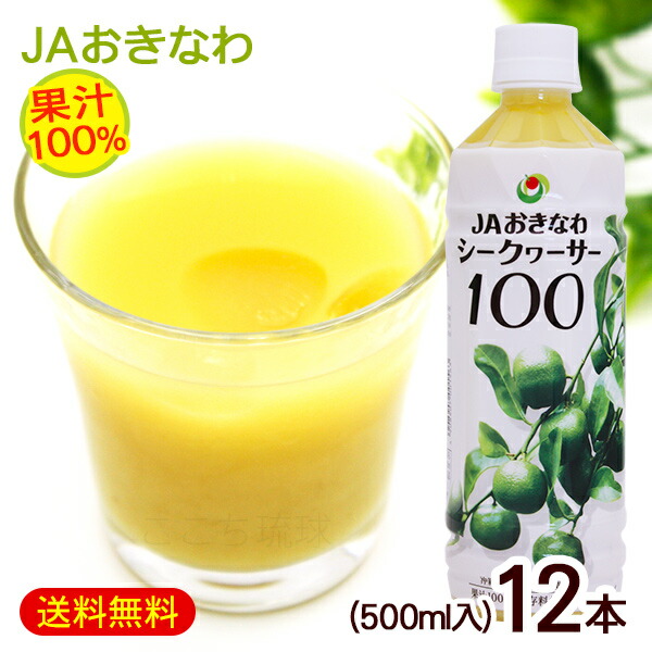 シークワーサー 原液 果汁100% 500ml×12本 /JAおきなわ 青切り シークワーサージュース ノビレチン【FS】|沖縄お土産通販 ここち琉球