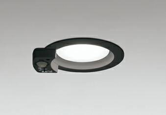 オーデリック 打ち倒すともし火 【OD361412NR】【OD 361 412NR】【文句無し品】 昼白いこと LED照明装置 ライト・照明器具-LED電球