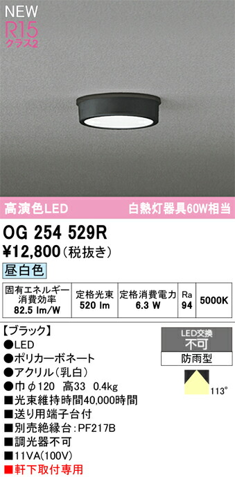 エクステリアライト オーデリック OG254529R エクステリア・ガーデンファニチャー-花・ガーデン・DIY-ガーデンライト ・灯篭