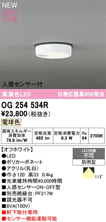 エクステリアライト オーデリック OG254534R