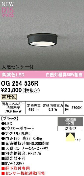 エクステリアライト オーデリック OG254536R