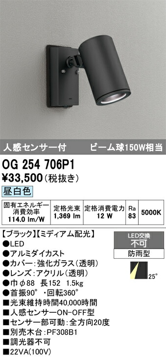 エクステリアライト オーデリック OG254706P1