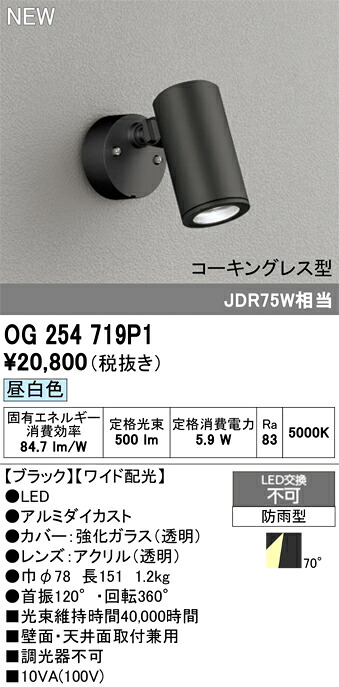 エクステリアライト オーデリック OG254719P1