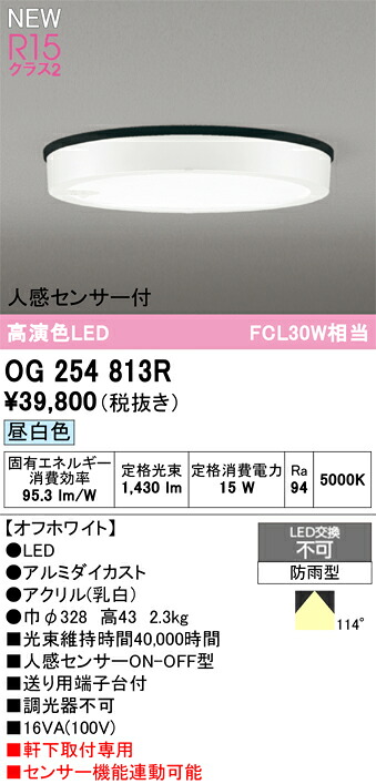 エクステリアライト オーデリック OG254813R