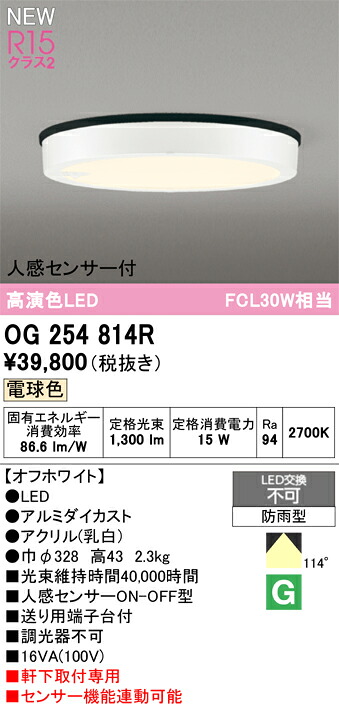 エクステリアライト オーデリック OG254814R