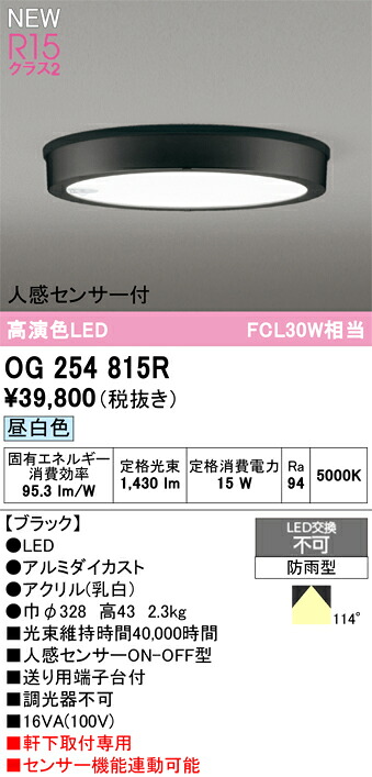 エクステリアライト オーデリック OG254815R