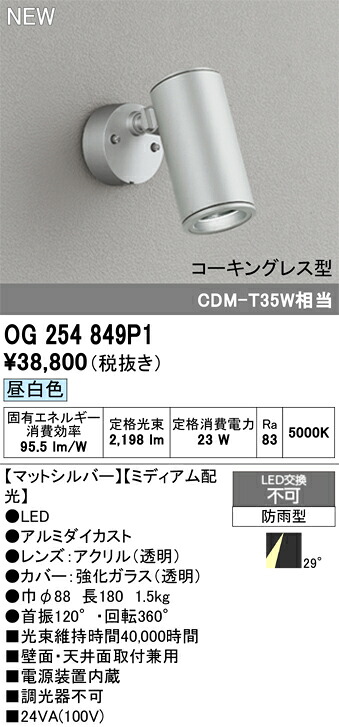 エクステリアライト オーデリック OG254849P1