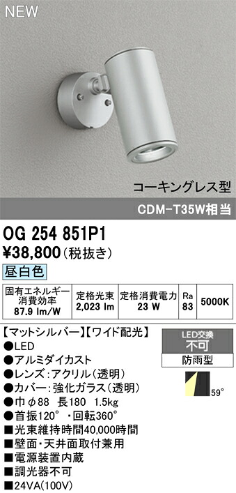 エクステリアライト オーデリック OG254851P1