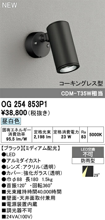 エクステリアライト オーデリック OG254853P1