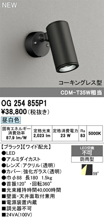 エクステリアライト オーデリック OG254855P1