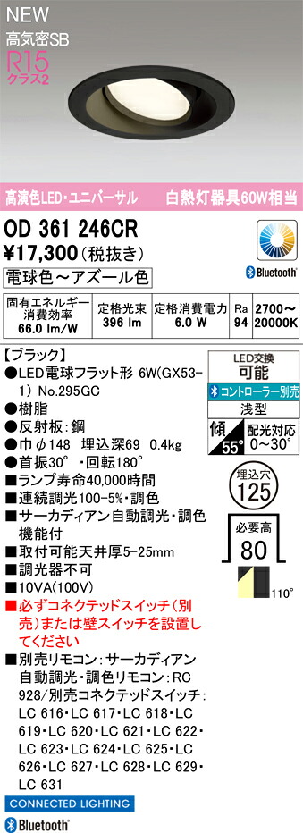 落ちこむ点火装置 オーデリック OD361246CR